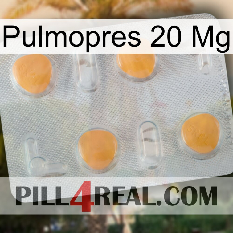 Pulmopres 20Mg 24